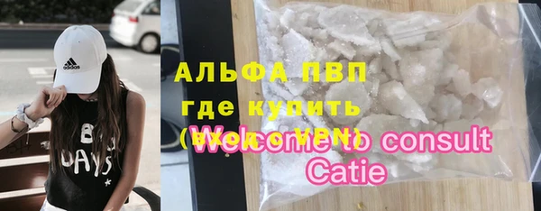 молекула духа Осташков
