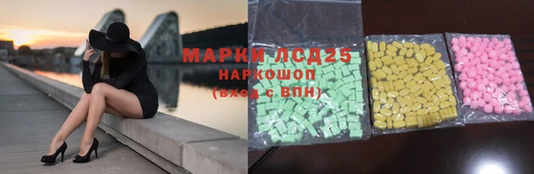 молекула духа Осташков