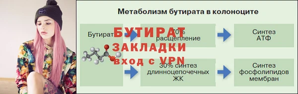 молекула духа Осташков