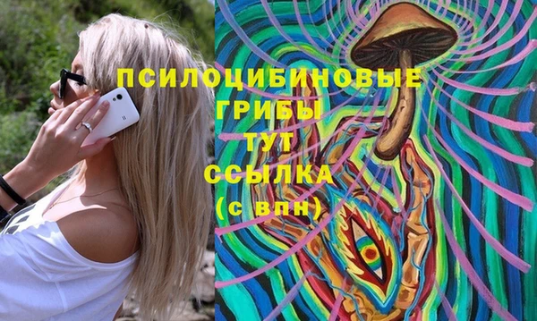 молекула духа Осташков