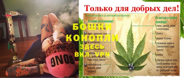 молекула духа Осташков