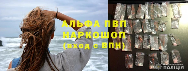 молекула духа Осташков