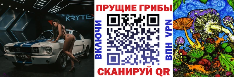 Галлюциногенные грибы GOLDEN TEACHER  Купить где  Камышлов 