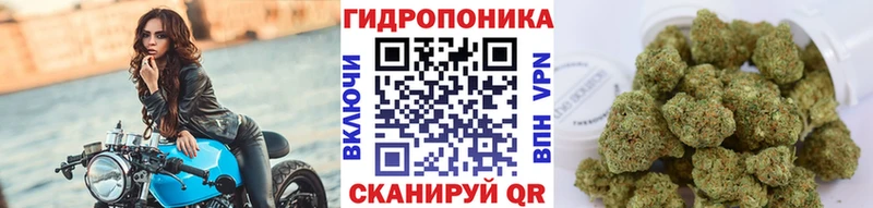Конопля конопля  Купить  Камышлов 